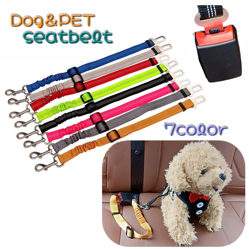 犬用 シートベルト ペット用 ドライブ用品 ペット用品 ドライブ 車内シートベルト 飛び出し予防 アウトドア お出かけ カー用品 いぬ ねこ