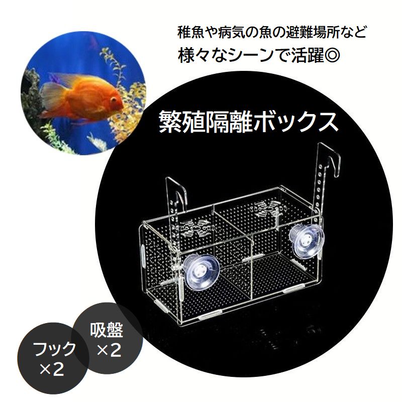 繁殖隔離ボックス 産卵ケース ダブル 吸盤 フック 水槽内隔離 アクアリウム 熱帯魚 金魚 透明 クリア 20cm 長方形 孵化 稚魚 育成 飼育 水槽用品 ペットグッズ 観賞魚