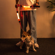 お散歩ライト 犬 いぬ ペット用品 LEDライト 光る リード取り付け 安全ライト リード ハーネス 胴輪 首輪 マジック テープ 面ファスナー 夜間 視認性 事故 安全対策 ボタン電池 カラバリ豊富 ねこ