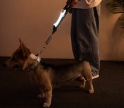 お散歩ライト 犬 いぬ ペット用品 LEDライト 光る リード取り付け 安全ライト リード ハーネス 胴輪 首輪 マジック テープ 面ファスナー 夜間 視認性 事故 安全対策 ボタン電池 カラバリ豊富 ねこ
