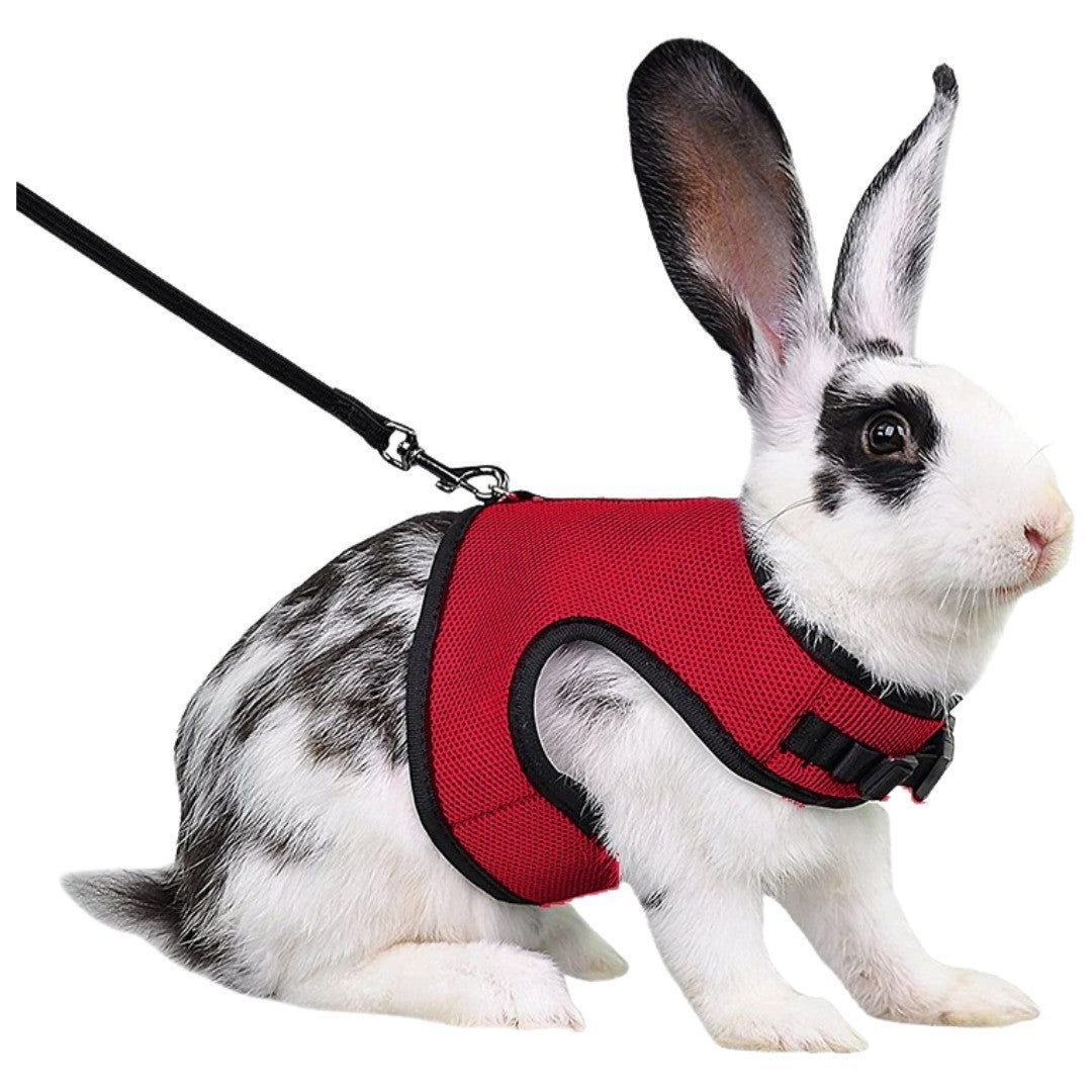 小動物用ハーネスリード ペット用ハーネス リード 2点セット うさぎ ウサギ モルモット フェレット 子ウサギ ラビット 小動物 ペット用品 ペットグッズ お散歩 単色 無地 シンプル カジュアル