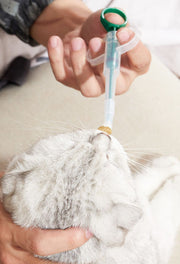ペット用投薬器 ペット用品 犬 猫 ペット 薬 投薬 スポイト 介護 栄養補給 水 薬 ミルク 赤ちゃん 経口 フィーダー シリンジ 使いやすい