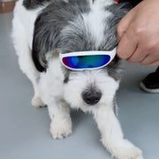 ペット用 サングラス メガネ 眼鏡 犬 猫 紫外線対策 ペット用品 アクサセリー かわいい かっこいい おしゃれ バリエーション豊富