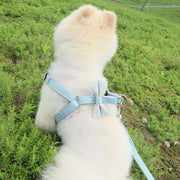 ハーネス リード 2点セット 犬用 中小型犬 ペット用品 散歩ひも 胴輪 サイズ調節可能 リーシュ ナスカン リボン チェック きれいめカラー かわいい おしゃれ ガーリー おでかけ 外出 ペットグッズ