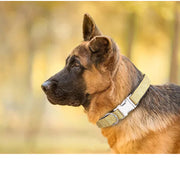 ペット用首輪 ペット用品 首輪 リボン 蝶ネクタイ キラキラ ラメ ゴージャス ワンタッチバックル 子犬 ネコ 猫 小型犬 中型犬 大型犬 かわいい おしゃれ フォーマル パーティー 結婚式