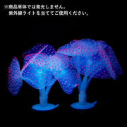 水槽レイアウト用品 人工珊瑚 水槽内アクセサリー サンゴ 珊瑚 蛍光 水槽用品 アクアリウム オブジェ オーナメント デコレーション 飾り 水槽装飾 鑑賞 吸盤付き 人工水草