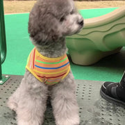 ペットウェア タンクトップ 犬 猫 ドッグ キャット 犬服 小型犬 中型犬 ペット用品 ペットグッズ 袖なし ノースリーブ プルオーバー ボーダー しましま プリント入り ヤシの木 サーフボード ロゴ入り 薄手 かわいい おしゃれ カジュアル シンプル ヘビロテ お出かけ 部屋着 抜け毛対策 青 橙