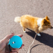 犬用伸縮リード 2m ペット用品 四角 丸 ホワイト ピンク ブルー ストラップ付き 取り付け簡単