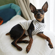 犬服 ドッグウェア タンクトップ ノースリーブ 袖なし カットソー 薄手 ボーダー柄 ギザギザボーダー柄 ドット柄 犬用 犬 いぬ ドッグ ペット用 ペット 小型犬 可愛い かわいい かっこいい オシャレ おしゃれ 春 夏 秋 デザイン豊富 ブルー オレンジ ブラック レッド ピンク イエロー グリーン グレー