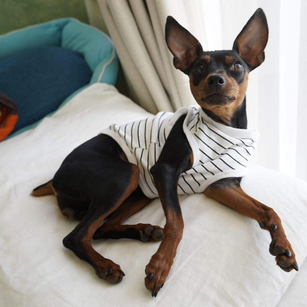 犬服 ドッグウェア タンクトップ ノースリーブ 袖なし カットソー 商品画像2