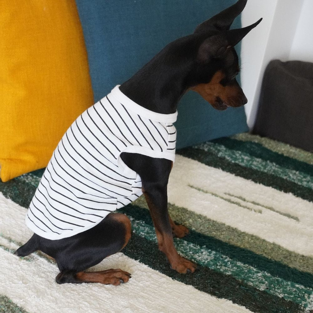 犬服 ドッグウェア タンクトップ ノースリーブ 袖なし カットソー 商品画像3