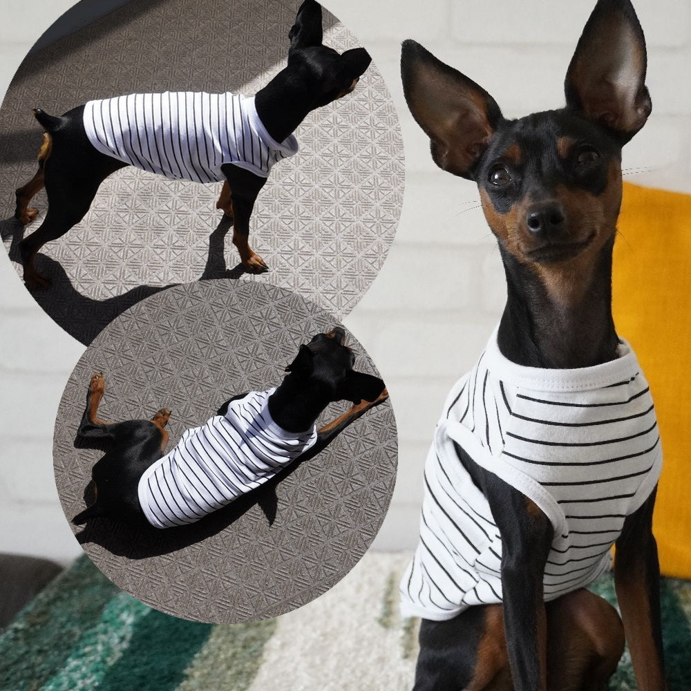 犬服 ドッグウェア タンクトップ ノースリーブ 袖なし カットソー 商品画像4
