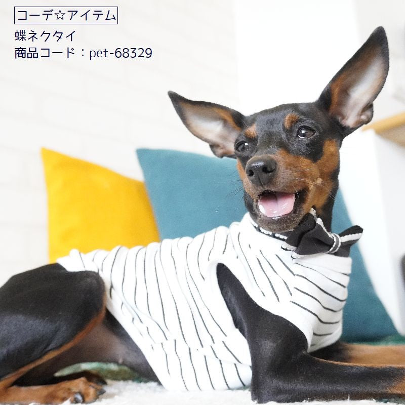 犬服 ドッグウェア タンクトップ ノースリーブ 袖なし カットソー 商品画像5