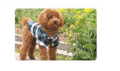 犬の服 ドックウエア シャツ 襟付き ペット用品 ドッグ用品 商品画像2