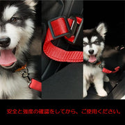犬用 シートベルト ペット用 ドライブ用品 犬 猫 ドライブ 車内シートベルト 飛び出し予防 アウトドア お出かけ カー用品 いぬ ねこ