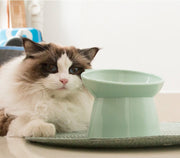 ネコ用食器 フードボウル ウォーターボウル ペット用食器 ねこ用品 エサ入れ 水入れ ペットグッズ 脚付き 傾斜 おしゃれ かわいい 猫