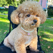 ペット用チョーカー ペット用ネックレス ラインストーン ハート フェイクパール 犬用 猫用 アクセサリー 首飾り キラキラ おしゃれ きれいめ 上品 華やか エレガント 可愛い かわいい ジュエリー ファッション小物 超小型犬 小型犬 イヌ用 いぬ用 ネコ用 ねこ用 ペット用品 ペットグッズ アジャスター付き 白 青 ピンク 黒 赤 黄 緑 紫