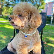 ペット用チョーカー ペット用ネックレス ラインストーン ハート フェイクパール 犬用 猫用 アクセサリー 首飾り キラキラ おしゃれ きれいめ 上品 華やか エレガント 可愛い かわいい ジュエリー ファッション小物 超小型犬 小型犬 イヌ用 いぬ用 ネコ用 ねこ用 ペット用品 ペットグッズ アジャスター付き 白 青 ピンク 黒 赤 黄 緑 紫