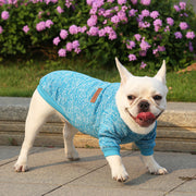 ペットウェア ドッグウェア 犬服 猫服  キャット いぬ ねこ トレーナー 袖あり プルオーバー カジュアル スポーティー おしゃれ かわいい プルオーバー リブ お散歩 防寒 寒さ対策 暖かい ポカポカ
