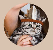 ヘッドドレス ペット用 コスプレ 仮装 おめかし 猫 犬 ハロウィン イベント パーティ 羽飾り ネイティブアメリカン フォークロア ユニーク 可愛い