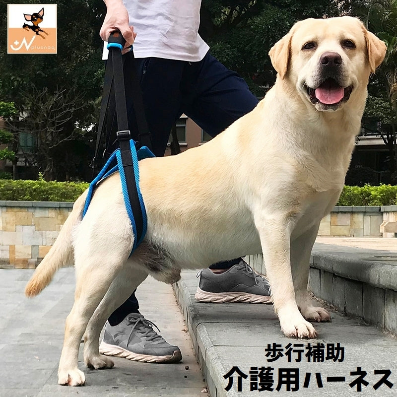 介護用ハーネス 後ろ足用 後足 犬用 ドッグ ペット用品 ベルト 歩行補助 リハビリ サポート 老犬 シニア 高齢 怪我 障害 メッシュ 長さ調節可能 ワンタッチバックル 着脱簡単 通気性 洗える 中型犬 大型犬 ブルー