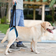 介護用ハーネス 後ろ足用 後足 犬用 ドッグ ペット用品 ベルト 歩行補助 リハビリ サポート 老犬 シニア 高齢 怪我 障害 メッシュ 長さ調節可能 ワンタッチバックル 着脱簡単 通気性 洗える 中型犬 大型犬 ブルー