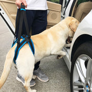 介護用ハーネス 後ろ足用 後足 犬用 ドッグ ペット用品 ベルト 歩行補助 リハビリ サポート 老犬 シニア 高齢 怪我 障害 メッシュ 長さ調節可能 ワンタッチバックル 着脱簡単 通気性 洗える 中型犬 大型犬 ブルー