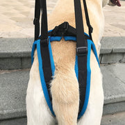 介護用ハーネス 後ろ足用 後足 犬用 ドッグ ペット用品 ベルト 歩行補助 リハビリ サポート 老犬 シニア 高齢 怪我 障害 メッシュ 長さ調節可能 ワンタッチバックル 着脱簡単 通気性 洗える 中型犬 大型犬 ブルー