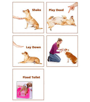 ペット用クリッカー 犬笛 犬 ペット トレーニング 訓練 スプリングゴム リストストラップ付き シンプル しつけ用品 犬用品 ペット用品 カラバリ豊富