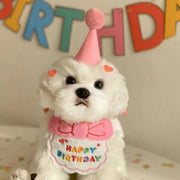 ペット用スタイ&帽子セット 2点セット 小型犬 ネコ ペットウェア ペット用品 誕生日 バースデー お祝い パーティー かわいい