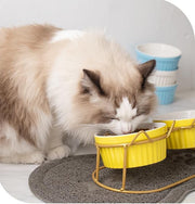 ペット用食器 猫用食器 犬用食器 フードボウル ウォーターボウル エサ入れ 餌入れ 容器 ペットグッズ 犬 猫 食事 ごはん わんちゃん ねこちゃん ペット用品