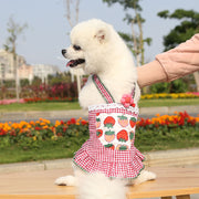 ペットウェア キャミソールワンピース 犬服 猫服 ドッグ キャット ノースリーブ 袖なし ボタン 前開き チェック柄 レース フリル フレア プリント イラスト イチゴ 苺 いちご ストロベリー アヒル 花 フラワー かわいい おしゃれ お出かけ お散歩 デイリー 普段使い 洋服 イヌ ネコ レッド ブルー