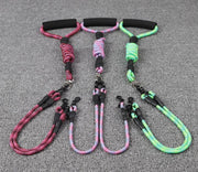 リード ダブルリード 犬 いぬ イヌ 小型犬 中型犬 ペット用品 ペットグッズ 2頭引き 牽引紐 2頭用 多頭飼い お散歩 おでかけ 外出 ピンク グリーン ローズ