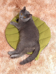 ペット用マット ペット用ベッド ペットグッズ ペット用品 犬用 猫用 イヌ ネコ 小動物用 リーフ 葉っぱ 春 夏 秋 冬 ふわふわ ふんわり お昼寝マット リバーシブル 両面 おしゃれ かわいい ナチュラル