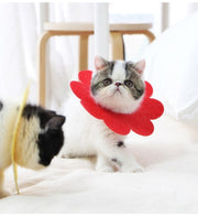 エリザベスカラー 4枚セット 猫 ネコ 小型犬 ペット用品 フラワー 花型 無地 かわいい キュート 傷舐め防止 ひっかき防止 傷口保護 簡単装着 ケア用品 ペット雑貨