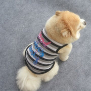ペット用 犬用 洋服 ドッグウエア タンクトップ プルオーバー ノースリーブ ボーダー柄 カラフル ミックス ロゴ 英語 バイピング ベスト 袖なし ドッグウェア かわいい おしゃれ 犬服 春夏秋 小型犬 中型犬 XS S M L 男の子 女の子 メス オス レッド ブラック グレー