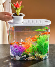 水槽 金魚鉢 飼育水槽 ペット ペットグッズ 熱帯魚 アクアリウム プラスチック クリア 透明 丈夫 テラリウム 観葉植物 水草 インテリア ボウル 水培 メダカ 鉢 スタイリッシュ シンプル お洒落