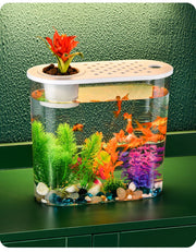 水槽 金魚鉢 飼育水槽 ペット ペットグッズ 熱帯魚 アクアリウム プラスチック クリア 透明 丈夫 テラリウム 観葉植物 水草 インテリア ボウル 水培 メダカ 鉢 スタイリッシュ シンプル お洒落