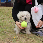 ボール収納 テニスボール収納 持ち運び ボールケース おもちゃ収納 テニスボールケース 犬 イヌ ドッグ ペット用品 ペットグッズ お出かけ お散歩 外遊び カラビナ付き 肉球 くり抜き かわいい おしゃれ 便利グッズ カラバリ豊富 黒 緑 ピンク ベージュ ローズ 紫 青 橙