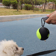 ボール収納 テニスボール収納 持ち運び ボールケース おもちゃ収納 テニスボールケース 犬 イヌ ドッグ ペット用品 ペットグッズ お出かけ お散歩 外遊び カラビナ付き 肉球 くり抜き かわいい おしゃれ 便利グッズ カラバリ豊富 黒 緑 ピンク ベージュ ローズ 紫 青 橙