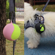 ボール収納 テニスボール収納 持ち運び ボールケース おもちゃ収納 テニスボールケース 犬 イヌ ドッグ ペット用品 ペットグッズ お出かけ お散歩 外遊び カラビナ付き 肉球 くり抜き かわいい おしゃれ 便利グッズ カラバリ豊富 黒 緑 ピンク ベージュ ローズ 紫 青 橙