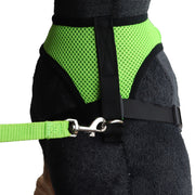 ハーネス リード 2点セット 小型犬 いぬ イヌ ペット用品 バックル メッシュ 通気性 反射材 調節可能 散歩 紐 ロープ