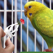 フルーツフィーダー 2個セットフードホルダー フィーダー ペット ペットグッズ 鳥用 小動物用 餌入れ アクセサリー フォーク ケージに固定 小鳥 インコ オウム ハムスター リス