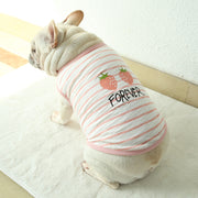 ペットウェア タンクトップ 犬服 ネコ 猫服 小型犬 ドッグウェア キャットウェア ペット用品 プルオーバー 袖なし ノースリーブ ボーダー しましま イチゴ 英字入り プリント入り ラウンドネック かわいい おしゃれ シンプル カジュアル 定番 お出かけ 部屋着 ピンク 緑