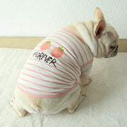 ペットウェア タンクトップ 犬服 ネコ 猫服 小型犬 ドッグウェア キャットウェア ペット用品 プルオーバー 袖なし ノースリーブ ボーダー しましま イチゴ 英字入り プリント入り ラウンドネック かわいい おしゃれ シンプル カジュアル 定番 お出かけ 部屋着 ピンク 緑