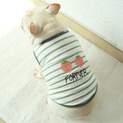 ペットウェア タンクトップ 犬服 ネコ 猫服 小型犬 ドッグウェア キャットウェア ペット用品 プルオーバー 袖なし ノースリーブ ボーダー しましま イチゴ 英字入り プリント入り ラウンドネック かわいい おしゃれ シンプル カジュアル 定番 お出かけ 部屋着 ピンク 緑