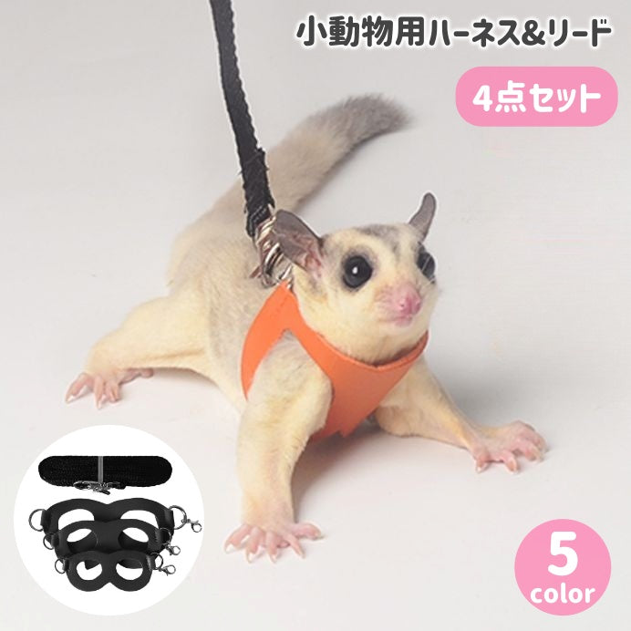 小動物用ハーネス リード 4点セット 3サイズ モモンガ 胴輪 牽引ひも シンプル 無地 おしゃれ お出かけ 散歩 通院