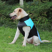 ドッグウェア ジャケット 犬服 洋服 ペットウェア 犬用 大型犬 中型犬 ダウン風 中綿入り 防寒 背中開き ファスナー 無地 おしゃれ あったか 暖かい お散歩 おでかけ ペット用品 ペットグッズ