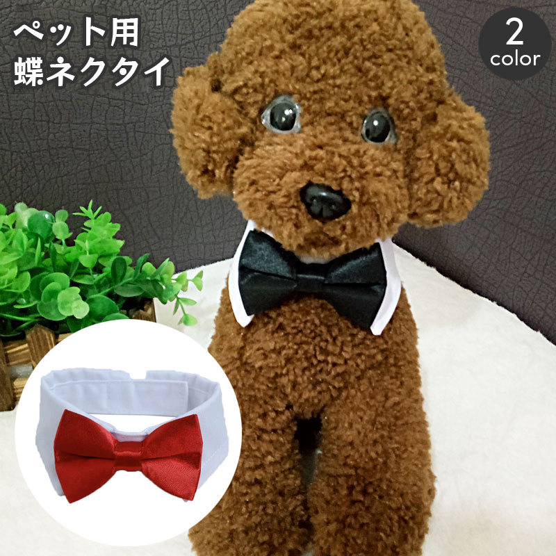 ペット用ネクタイ 蝶ネクタイ ペット用付け襟 コスプレ つけ襟 犬用 猫用 小型犬 カラー付きネクタイ ハロウィン イベント パーティー お祝い おしゃれ かわいい おめかし いぬ イヌ ねこ ネコ ドッグ キャット 仮装 コスチューム