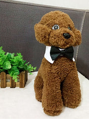 ペット用ネクタイ 蝶ネクタイ ペット用付け襟 コスプレ つけ襟 犬用 猫用 小型犬 カラー付きネクタイ ハロウィン イベント パーティー お祝い おしゃれ かわいい おめかし いぬ イヌ ねこ ネコ ドッグ キャット 仮装 コスチューム